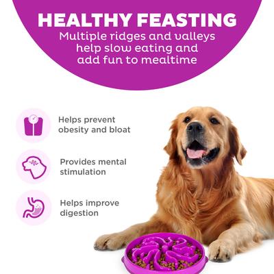 Outward Hound Fun Feeder Interactive Dog Bowl, Purple