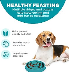 Outward Hound Non-Skid Plastic Slow Feeder Interactive Dog Bowl, Teal, 2-cup slide 2 of 6