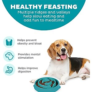 Outward Hound Non-Skid Plastic Slow Feeder Interactive Dog Bowl, Teal, 2-cup