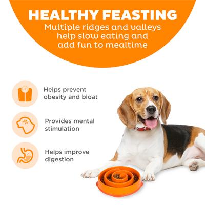 Show full view: Outward Hound Fun Feeder Interactive Dog Bowl, Orange, 2 cup slide 2 of 9