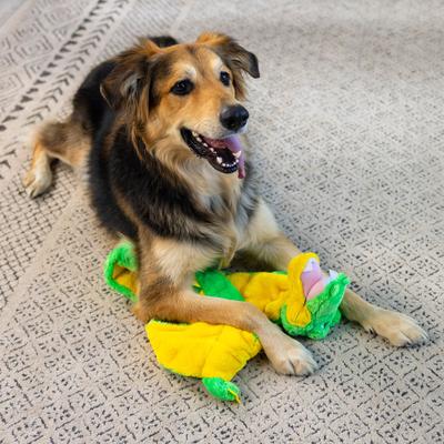 Show full view: Outward Hound Durable Squeaker Matz Plush Gator Dog Toy, XX-Large slide 6 of 9