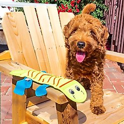 Outward Hound Fire Biterz Lizard Squeaky Dog Toy, Red, 3 squeak slide 2 of 7