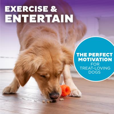 Show full view: Outward Hound Orbee-Tuff Carrot Treat Dispensing Tough Dog Chew Toy slide 6 of 13