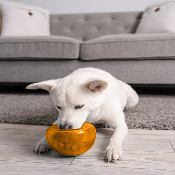Outward Hound Snoop Interactive Treat Dispensing Dog Toy