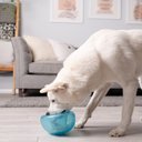 Outward Hound Orbee-Tuff Snoop Treat Dispensing Tough Dog Chew Toy, Blue
