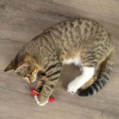 Show full view: Catstages Magic Dynamite Cat Toy with Catnip slide 7 of 11