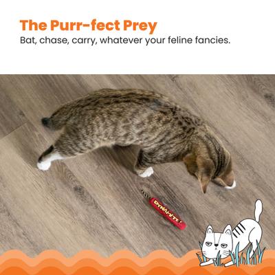 Show full view: Catstages Magic Dynamite Cat Toy with Catnip slide 4 of 11