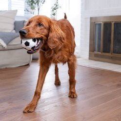 Outward Hound Sport Ballz Soccer Ball Durable Treat-Dispensing Fetch Ball Dog Toy slide 2 of 8