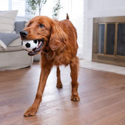 Show full view: Outward Hound Sport Ballz Soccer Ball Durable Treat-Dispensing Fetch Ball Dog Toy slide 6 of 11