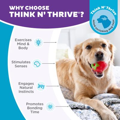 Show full view: Outward Hound Orbee-Tuff Strawberry Treat Dispensing Tough Dog Chew Toy slide 6 of 13