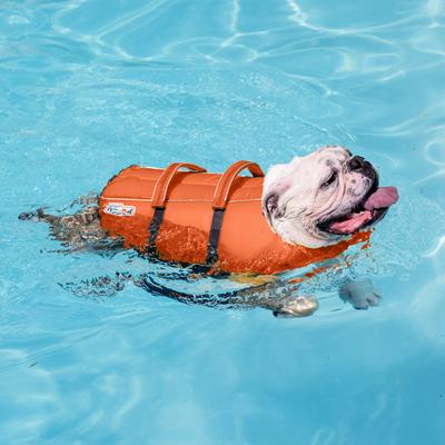 Show full view: Outward Hound Granby RipStop Dog Life Jacket, X-Small, Bright Orange slide 7 of 14