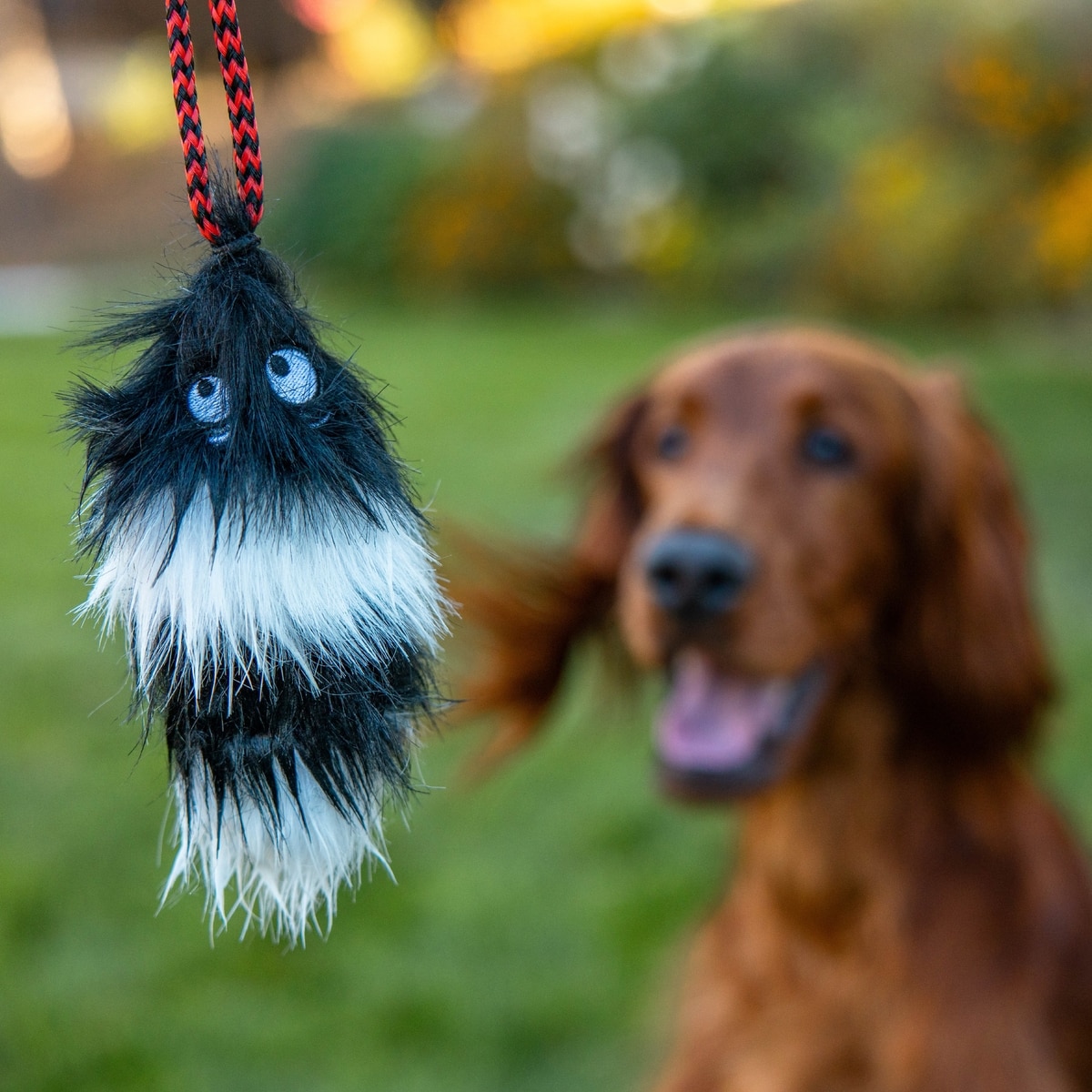 Outward Hound Tail Teaser with Refill Dog & Cat Teaser Toy