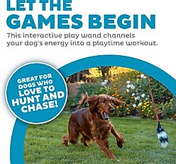 Outward Hound Tail Teaser with Refill Dog Teaser Toy slide 2 of 8