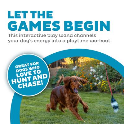 Show full view: Outward Hound Tail Teaser with Refill Dog Teaser Toy slide 2 of 12