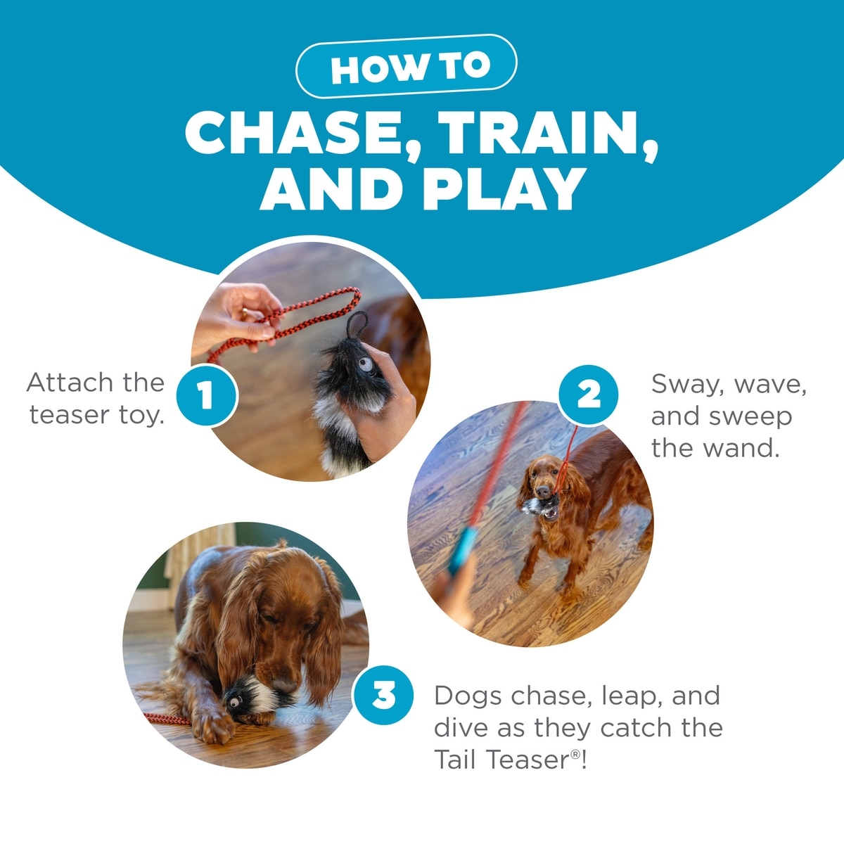 Outward Hound Tail Teaser with Refill Dog & Cat Teaser Toy