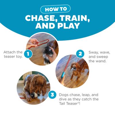 Outward Hound Tail Teaser with Refill Dog & Cat Teaser Toy