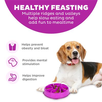 Show full view: Outward Hound Fun Feeder Interactive Dog Bowl, Purple, 2 cup slide 3 of 11