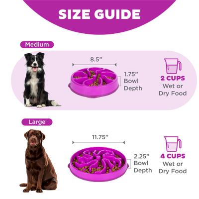 Show full view: Outward Hound Fun Feeder Interactive Dog Bowl, Purple, 2 cup slide 6 of 11