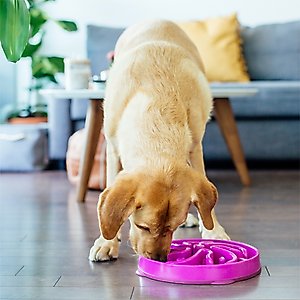 Outward Hound Fun Feeder Interactive Dog Bowl, Purple, 4 cup