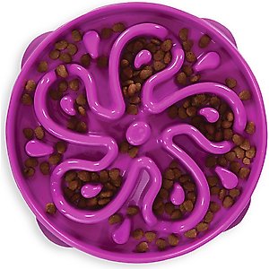Outward Hound Fun Feeder Interactive Dog Bowl, Purple, 4 cup