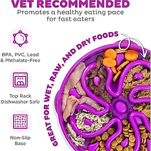 Outward Hound Fun Feeder Interactive Dog Bowl, Purple, 4 cup