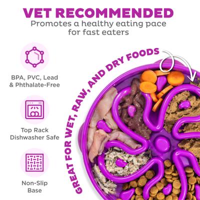 Outward Hound Fun Feeder Interactive Dog Bowl, Purple