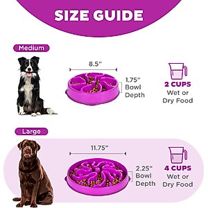 Outward Hound Fun Feeder Interactive Dog Bowl, Purple, 4 cup
