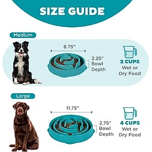 Outward Hound Non-Skid Plastic Slow Feeder Interactive Dog Bowl, Teal, 2-cup