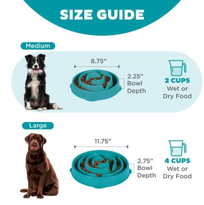 Show full view: Outward Hound Non-Skid Plastic Slow Feeder Interactive Dog Bowl, Teal, 2-cup slide 5 of 10