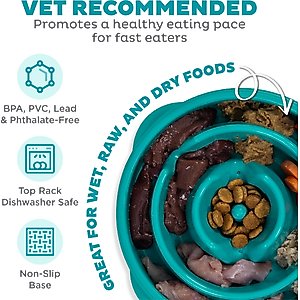 Outward Hound Non-Skid Plastic Slow Feeder Interactive Dog Bowl, Teal, 2-cup