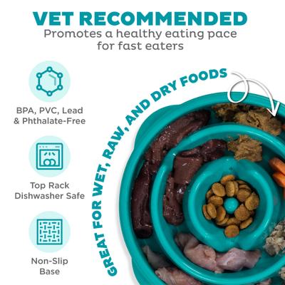 Show full view: Outward Hound Non-Skid Plastic Slow Feeder Interactive Dog Bowl, Teal, 2-cup slide 3 of 10