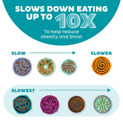 Show full view: Outward Hound Non-Skid Plastic Slow Feeder Interactive Dog Bowl, Teal, 2-cup slide 4 of 10