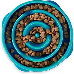 Outward Hound Non-Skid Plastic Slow Feeder Interactive Dog Bowl, Teal, 2-cup