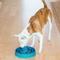Show in main carousel: Outward Hound Non-Skid Plastic Slow Feeder Interactive Dog Bowl, Teal, 4-cup slide 6 of 10