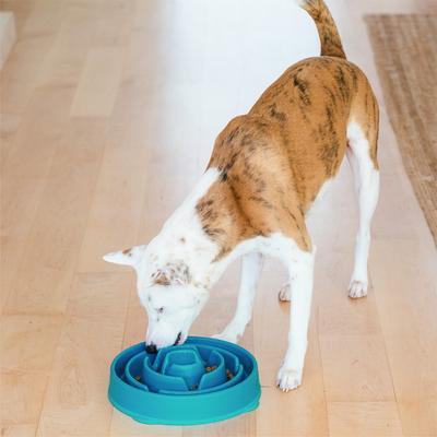 Show full view: Outward Hound Non-Skid Plastic Slow Feeder Interactive Dog Bowl, Teal, 4-cup slide 6 of 10