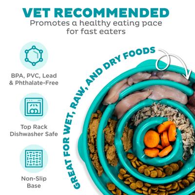 Outward Hound Non-Skid Plastic Slow Feeder Interactive Dog Bowl