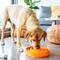 Show in main carousel: Outward Hound Fun Feeder Interactive Dog Bowl, Orange, 4 cup slide 6 of 9