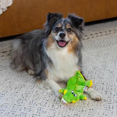 Show full view: Outward Hound Durable Squeaker Matz Plush Gator Dog Toy, Small slide 6 of 9
