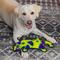 Show in main carousel: Outward Hound Durablez Gecko Tough Squeaky Dog Plush Toy, Yellow, Large slide 6 of 11