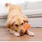 Show in main carousel: Outward Hound Orbee-Tuff Carrot Treat Dispensing Tough Dog Chew Toy slide 8 of 13