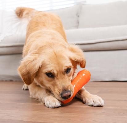 Show full view: Outward Hound Orbee-Tuff Carrot Treat Dispensing Tough Dog Chew Toy slide 8 of 13