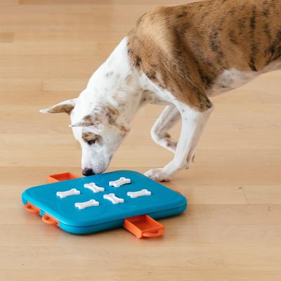 Show full view: Nina Ottosson by Outward Hound Casino Puzzle Game Dog Toy, Green & Orange slide 9 of 13