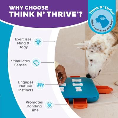 Show full view: Nina Ottosson by Outward Hound Casino Puzzle Game Dog Toy, Green & Orange slide 7 of 13