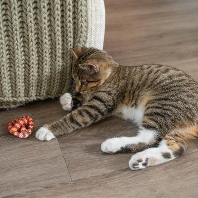 Show full view: Catstages Plaque Away Pretzel Cat Toy with Catnip, Color Varies slide 8 of 11