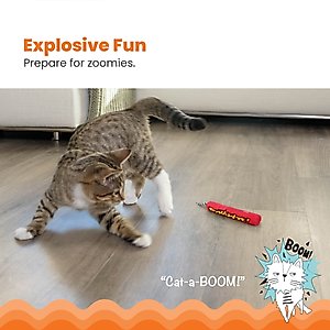 Catstages Magic Dynamite Cat Toy with Catnip