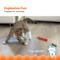 Show in main carousel: Catstages Magic Dynamite Cat Toy with Catnip slide 2 of 11