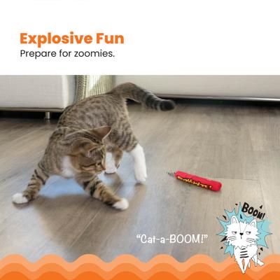 Show full view: Catstages Magic Dynamite Cat Toy with Catnip slide 2 of 11
