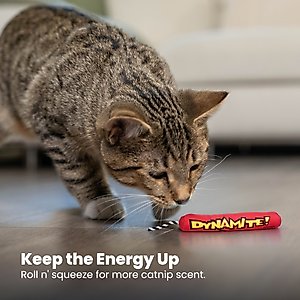 Catstages Magic Dynamite Cat Toy with Catnip