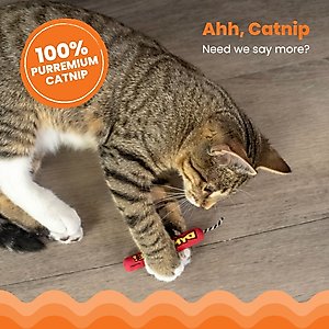 Catstages Magic Dynamite Cat Toy with Catnip