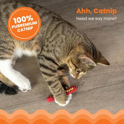 Show full view: Catstages Magic Dynamite Cat Toy with Catnip slide 3 of 11